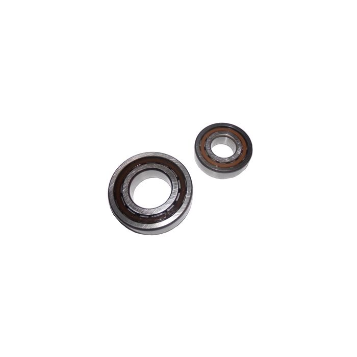 LPS Drive Motor Bearing Kit for Replacement on Terex® PT100G