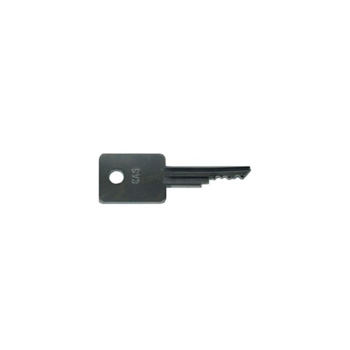 LPS Set of 2 Keys to Replace Case® OEM A77313 on Excavators