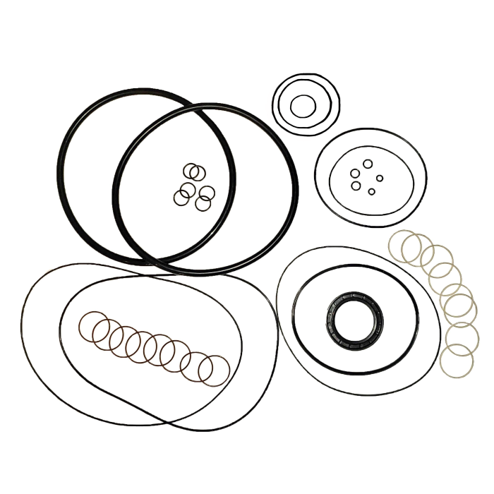 LPS Drive Motor Seal Kit to Replace New Holland® OEM 87461859